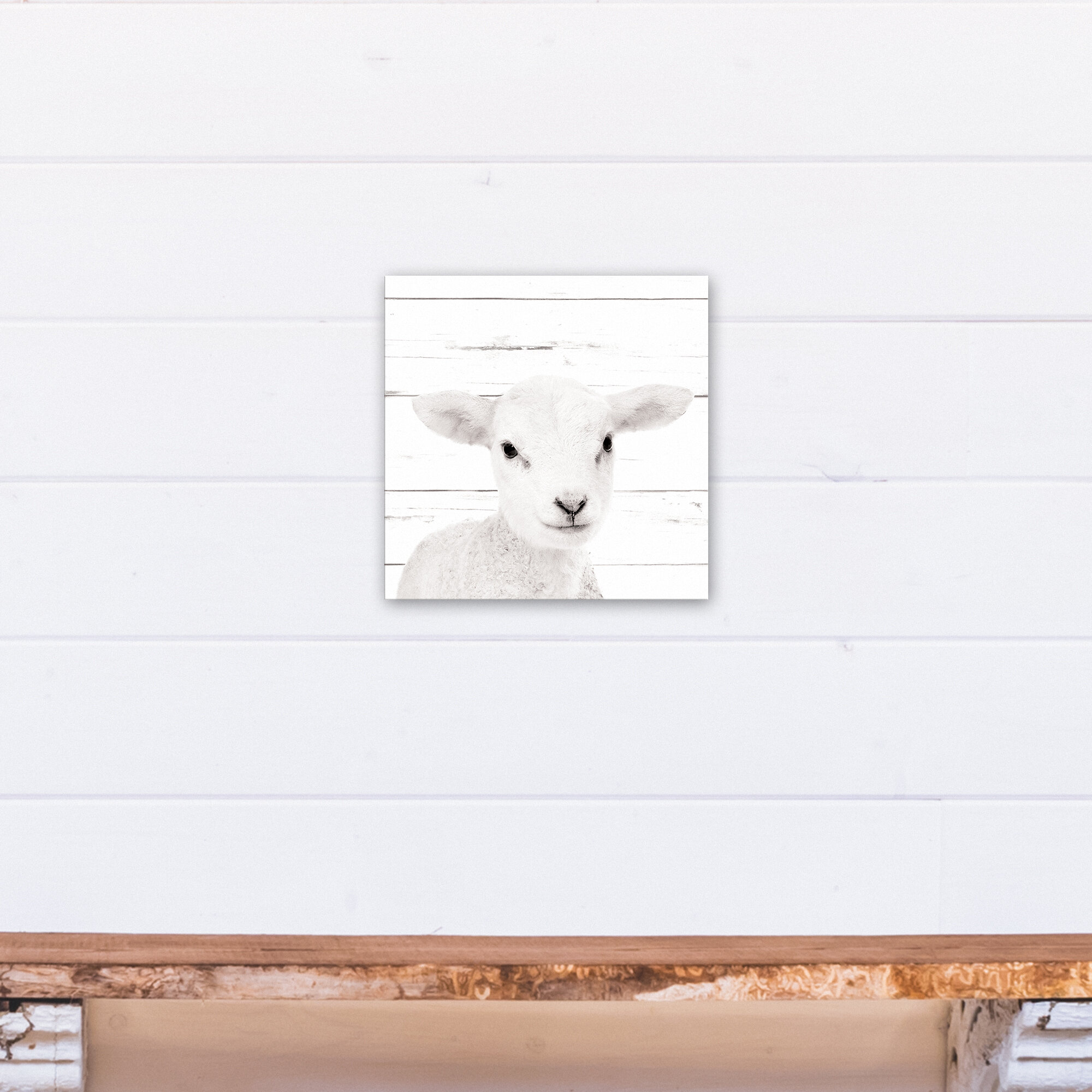 11+ Best Lamb wall art images info