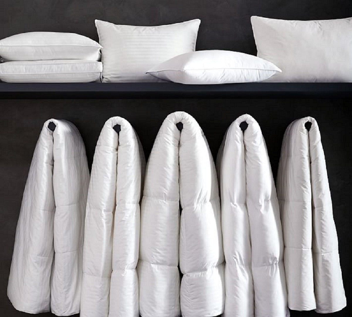 Alwyn Home Hydrocool All Season Down Alternative Comforter Wayfair