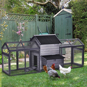 Suinga Poules dint/érieur 6 compartiments 82 x 47 x 123 cm Comprend des pieds Capacit/é 36 poules.