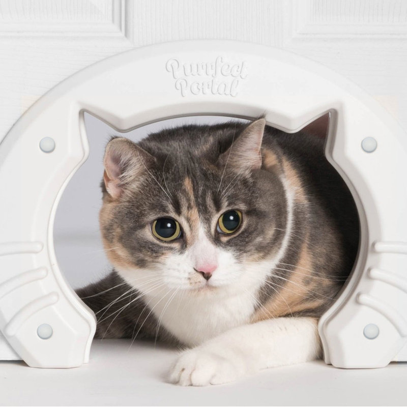 Purrfectportal Built In Pet Door Reviews Wayfair