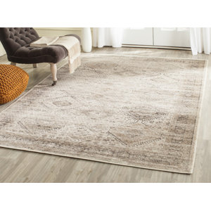 Makenna Stone Area Rug