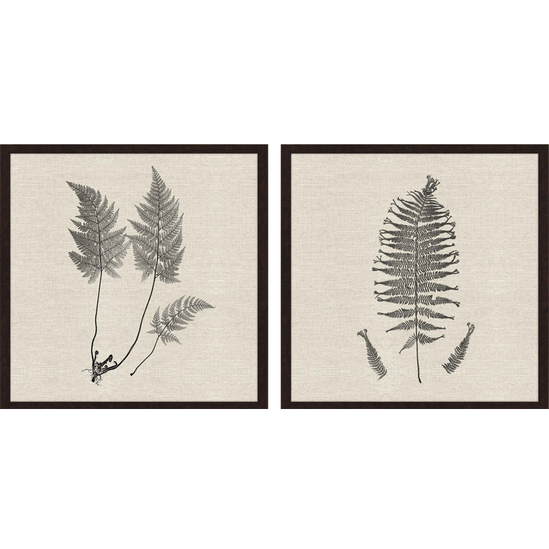 Gracie Oaks Modern Ferns I By Langdon 2 Piece Picture Frame Print Set Wayfair