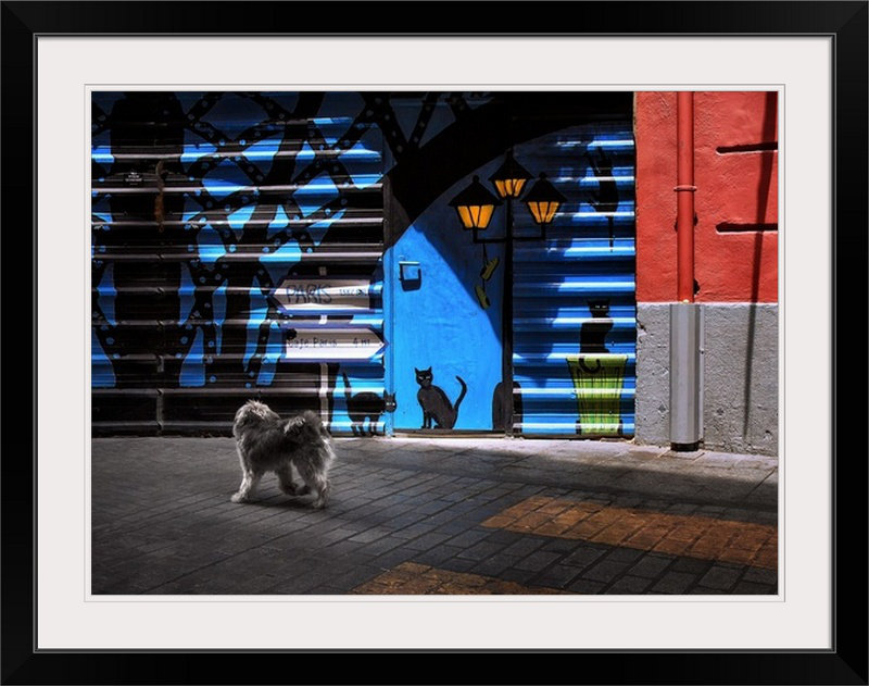 East Urban Home The Street Cats By Juan Luis Duran Photographic Print Wayfair