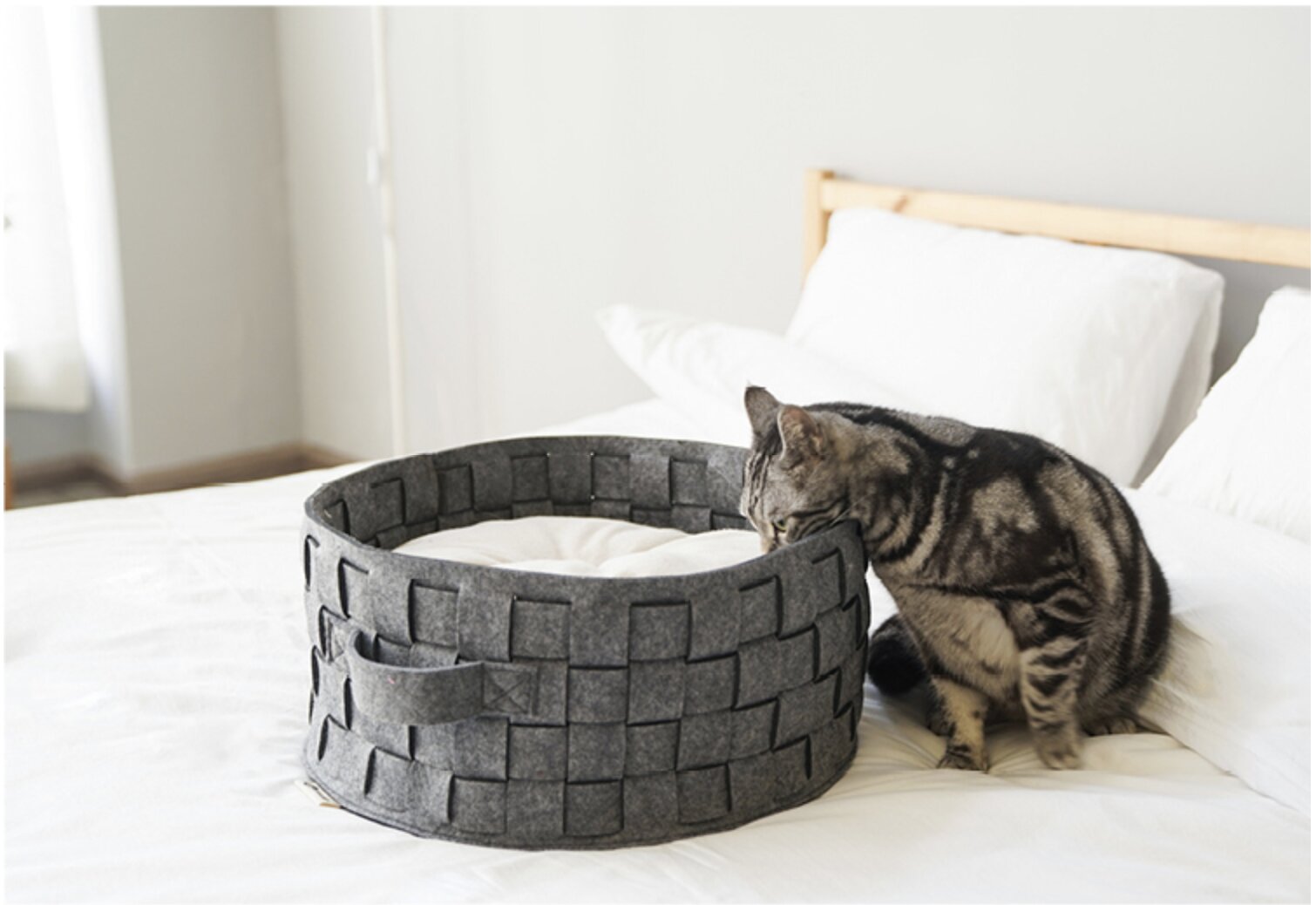 designer cat beds