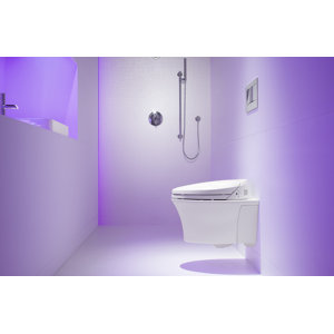 Veil One-Piece Elongated Dual-Flush Wall-Hung Toilet with C3 Bidet Toilet Seat and 2