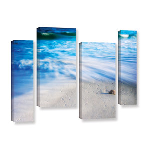 Seashells On The Seashore by Antonio Raggio 4 Piece Photographic Print on Wrapped Canvas Set