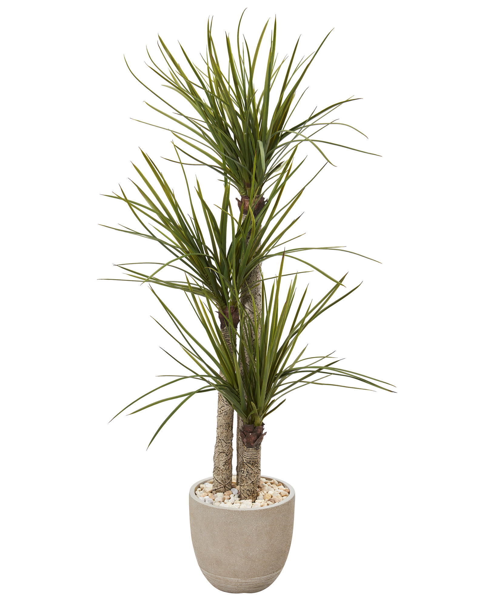 Primrue 60" Artificial Yucca Tree in Planter Wayfair