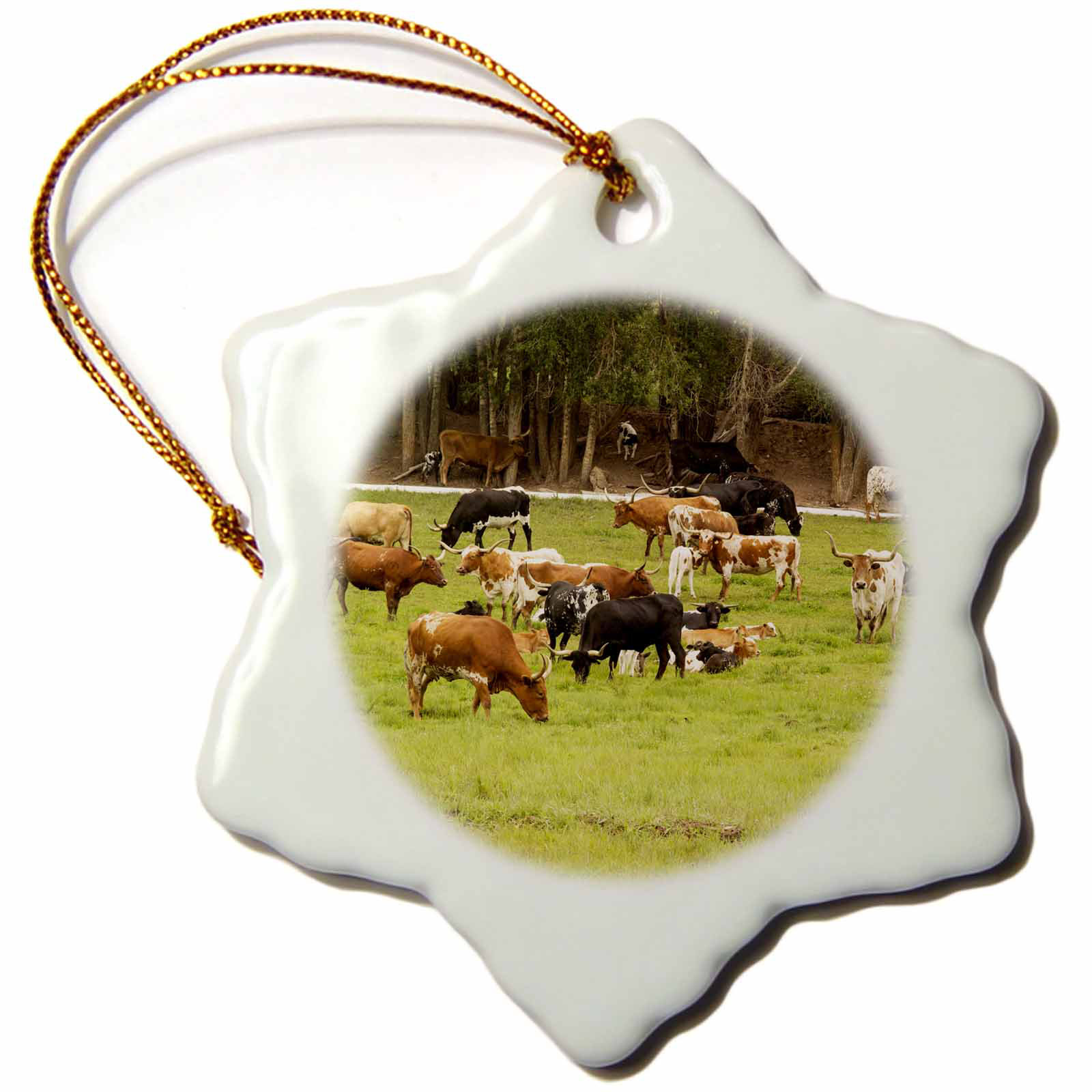 The Holiday Aisle Texas Longhorn Cow Cattle In Pasture Snowflake