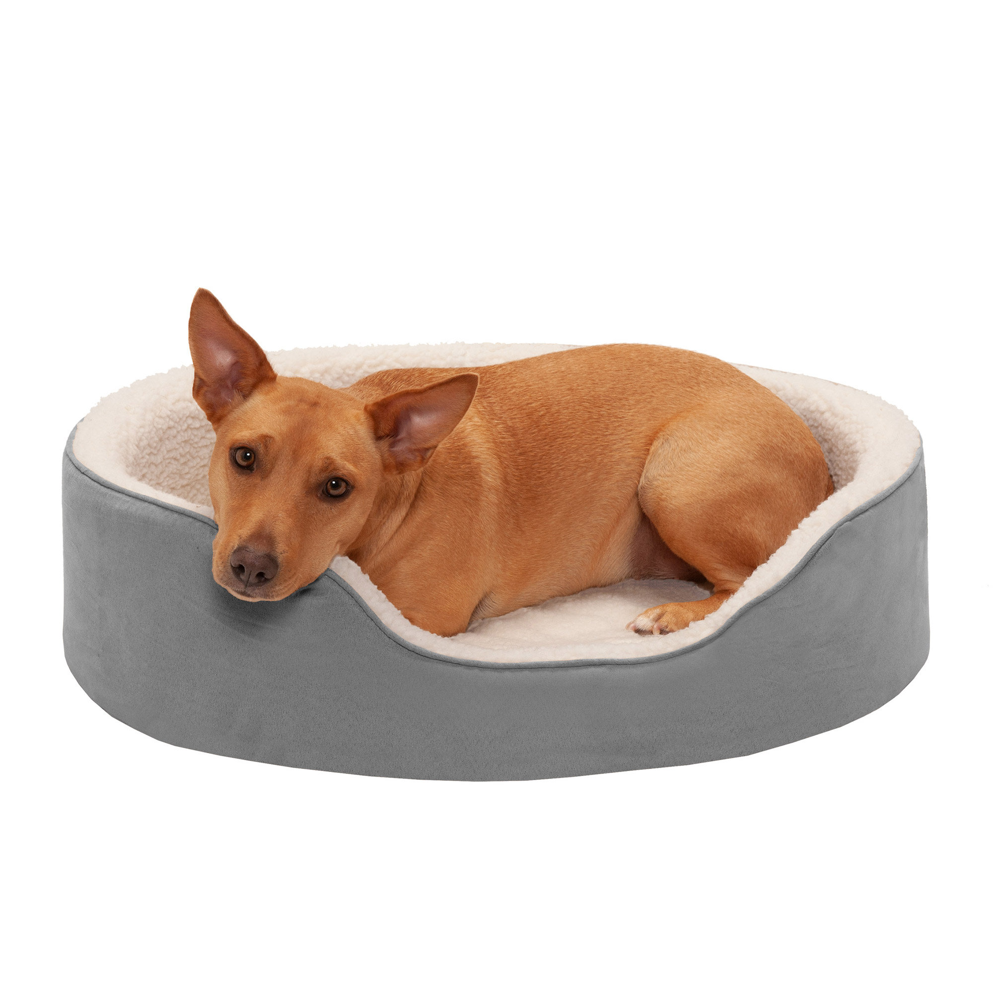 exterior dog bed