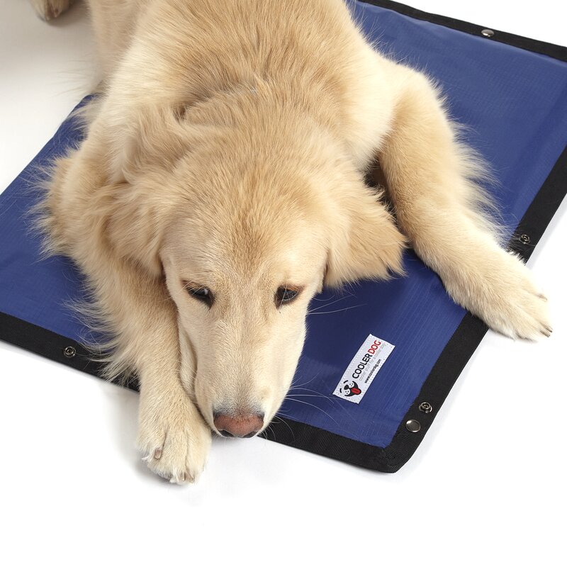 dog cooling mat