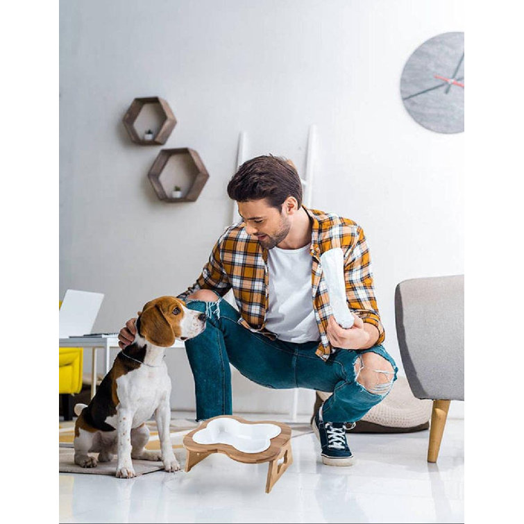 weighted dog water bowl