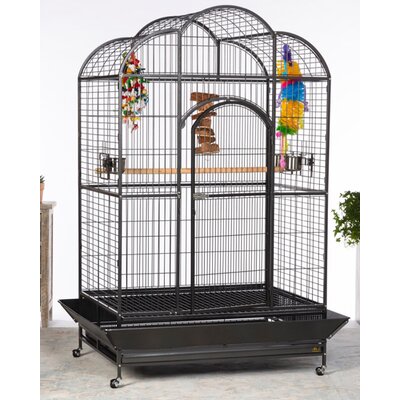 Bird Cages You'll Love in 2020 | Wayfair
