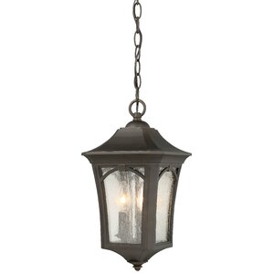 Coyan 3-Light Outdoor Hanging Lantern