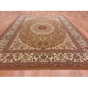 Gold Area Rug