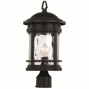 Ashberry 1-Light Lantern Head