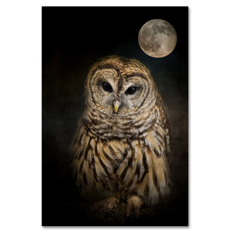 Trademark Art Barred Owl And The Moon Graphic Art Print On Wrapped Canvas Reviews Wayfair