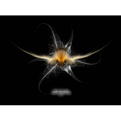 'Tri-Star Ninja Golden Head Silver Moth' Graphic Art Print Poster East Urban Home Size: 35.5