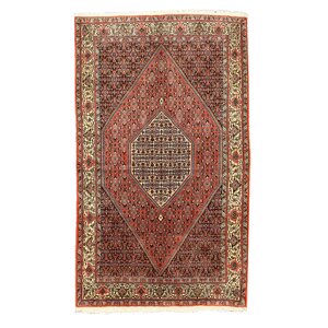 Bidjar Rust Hand-Knotted Area Rug