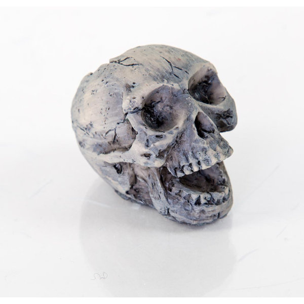 girly skull ornaments