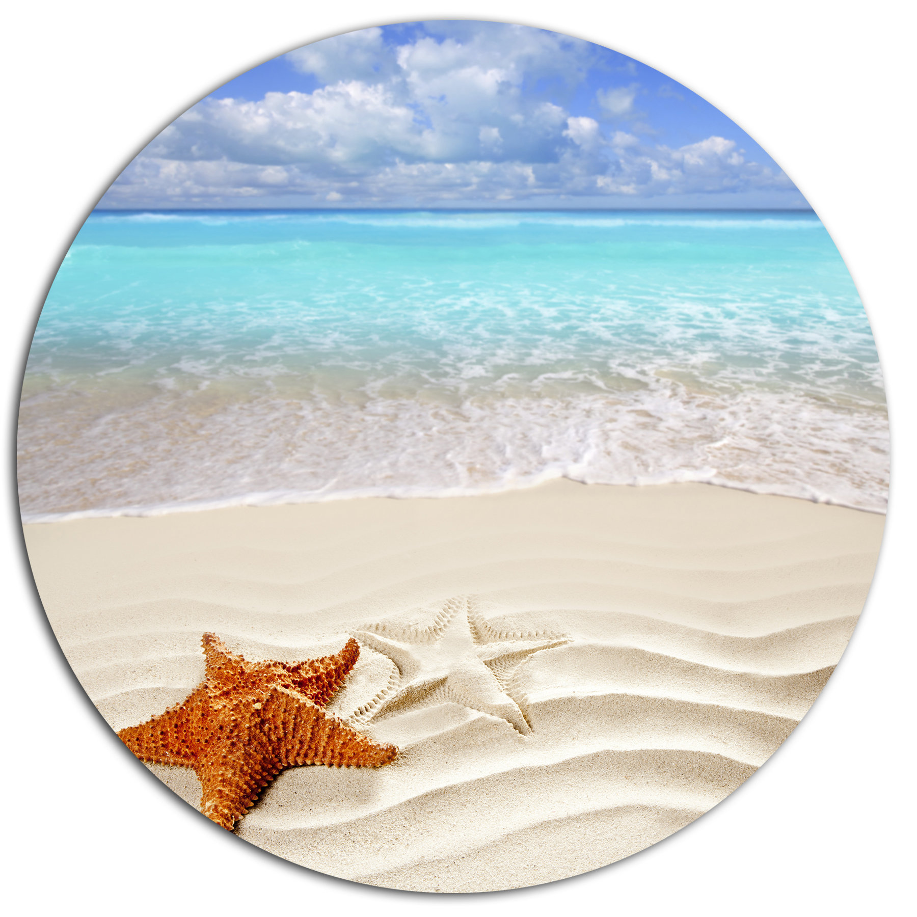 Designart Brown Starfish On Caribbean Beach Photographic Print Designart Brown Starfish On Caribbean
