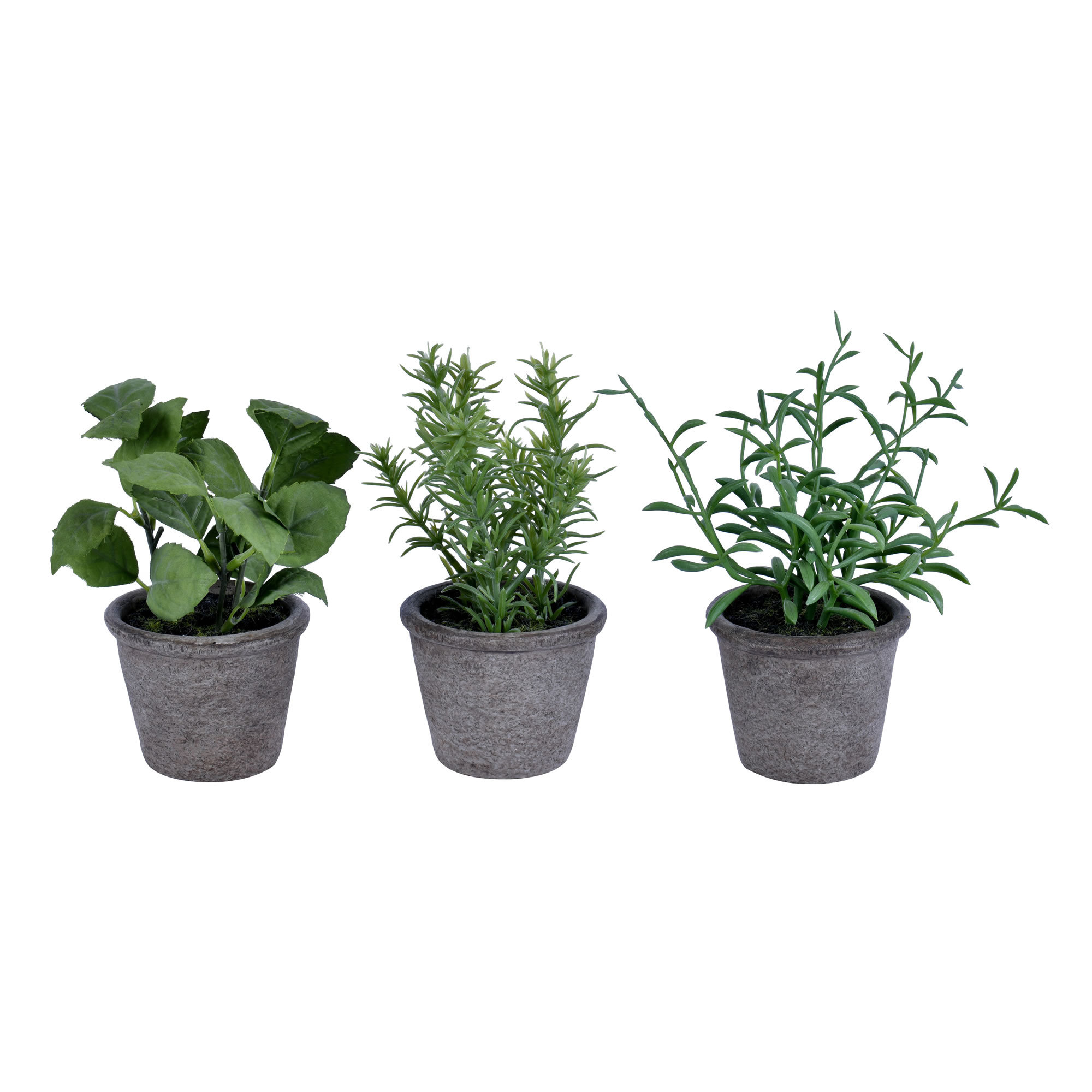 Gracie Oaks Faux Herbs Plant in Pot & Reviews Wayfair