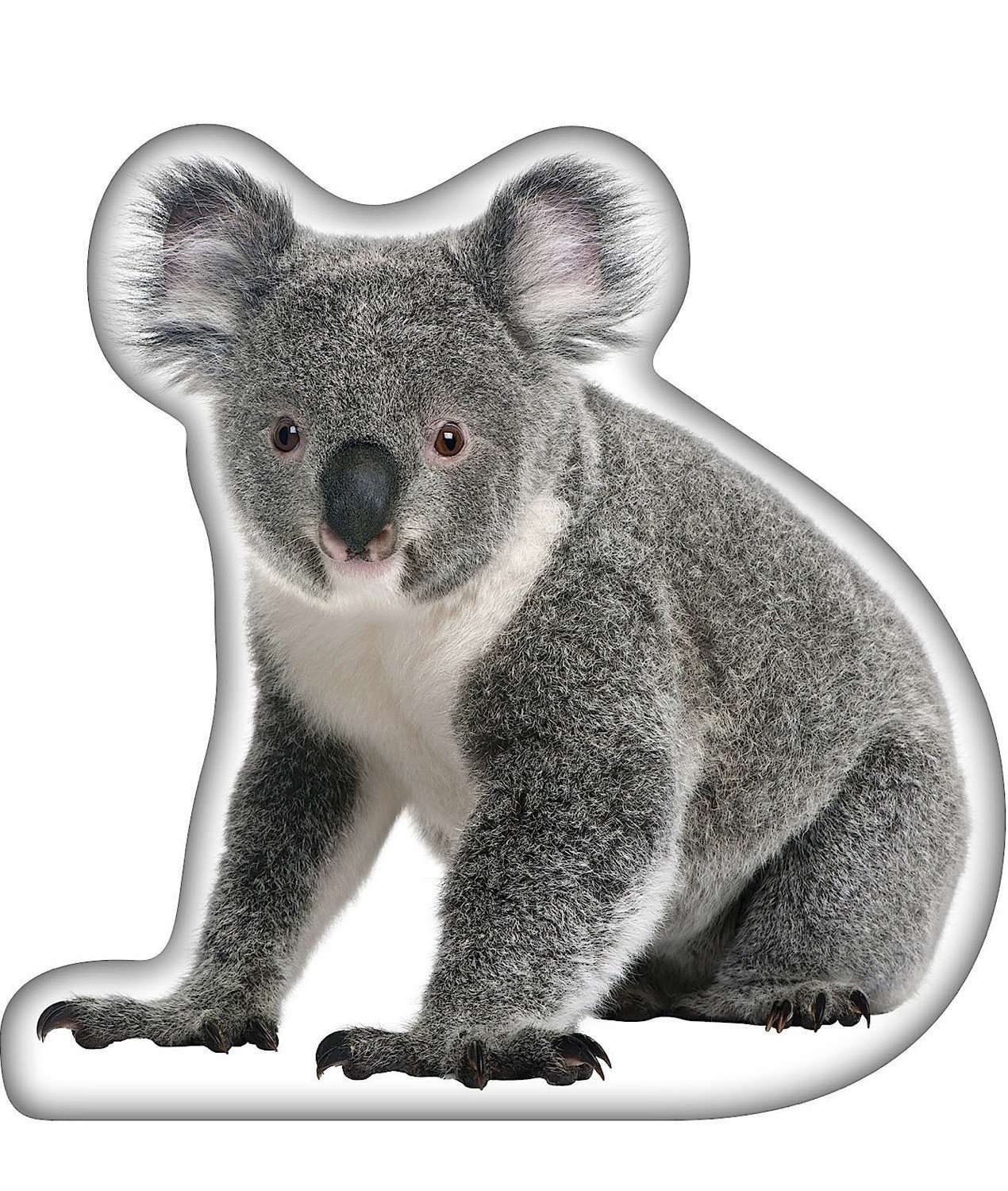 East Urban Home Koala Throw Pillow Wayfair