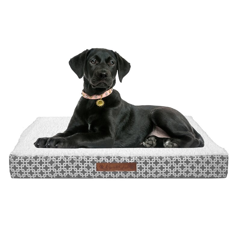 which dog bed