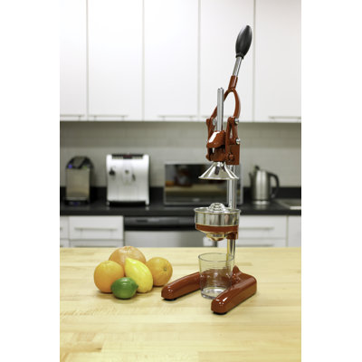 Citrus Juicer