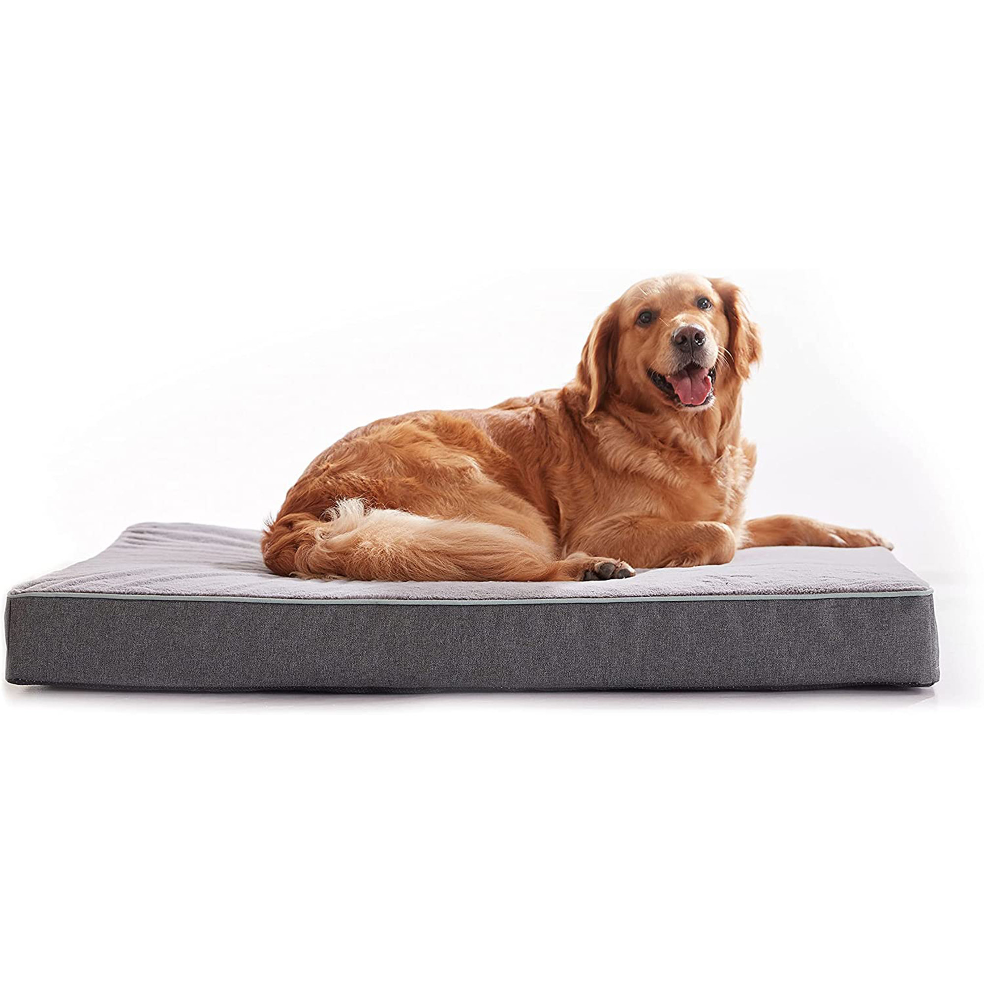 xxl dog bed memory foam