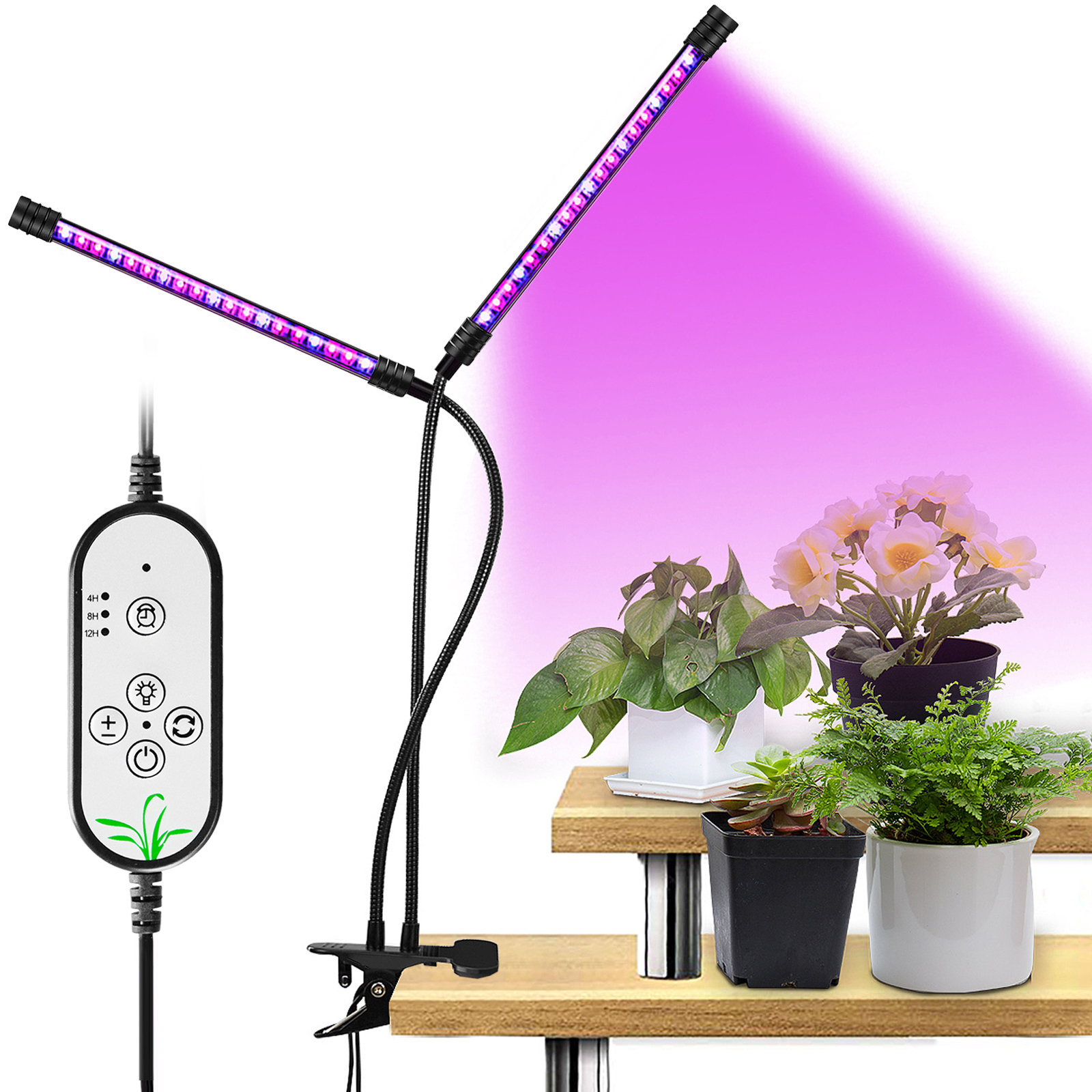 grow lights timing