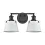 Breakwater Bay Gabel 2 - Light Dimmable Charcoal Vanity Light | Wayfair