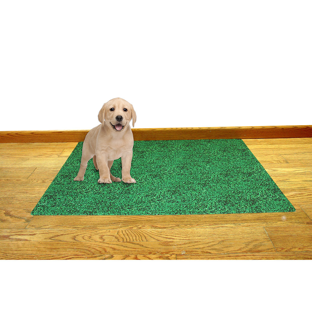 Drymate Potty Pad, Washable Puppy Training Mat, Absorbent Mat Contains