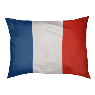 Toronto Designer Rectangle Pillow East Urban Home Size Large 40 L x 50 W Color Royal BlueWhiteRed