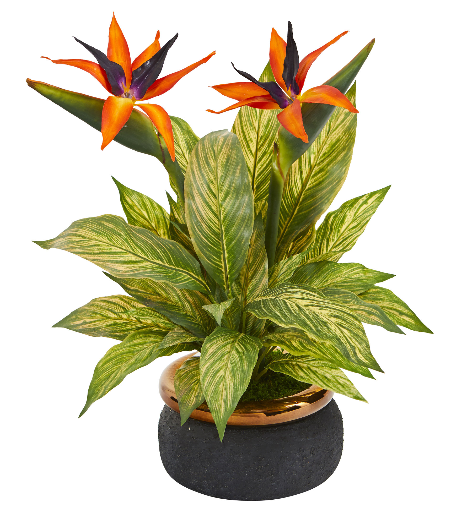 Bay Isle Home Bird Of Paradise And Musa Leaf Artificial Mixed Floral Arrangement In Planter Wayfair