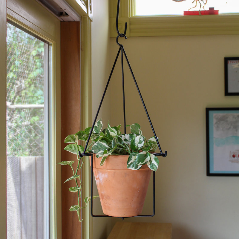 ACHLA Wrought Iron Hanging Planter | Wayfair