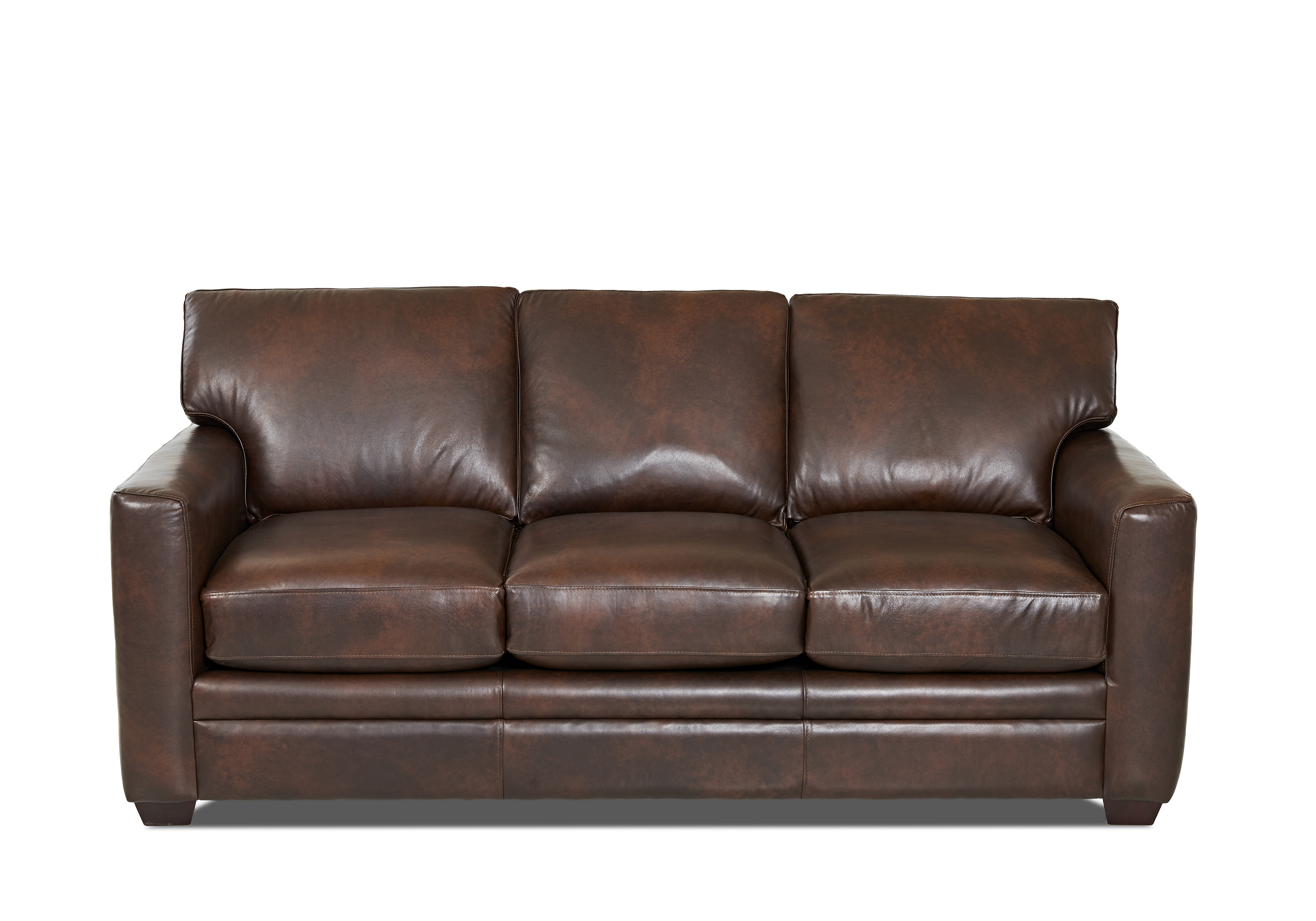 Carleton Leather Sofa Bed