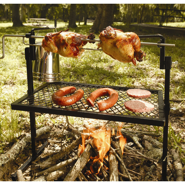 Firepit Grill Combo Wayfair
