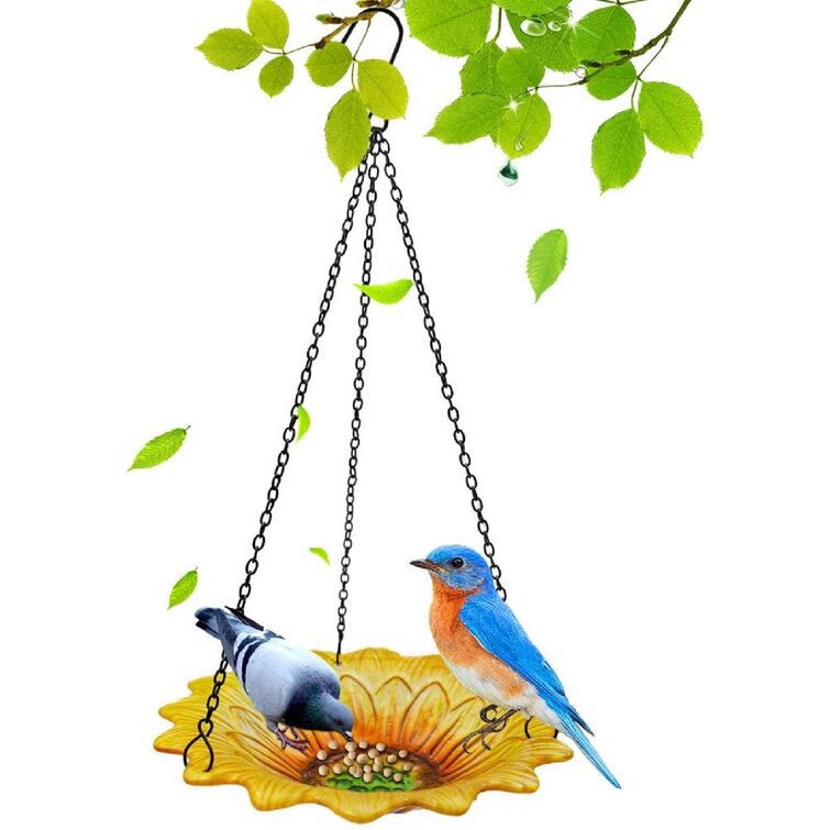 10 Inch Large Glass Bird Feeder for Garden Yard Patio Decor Hanging Bird Bath Bowl for Outdoors 