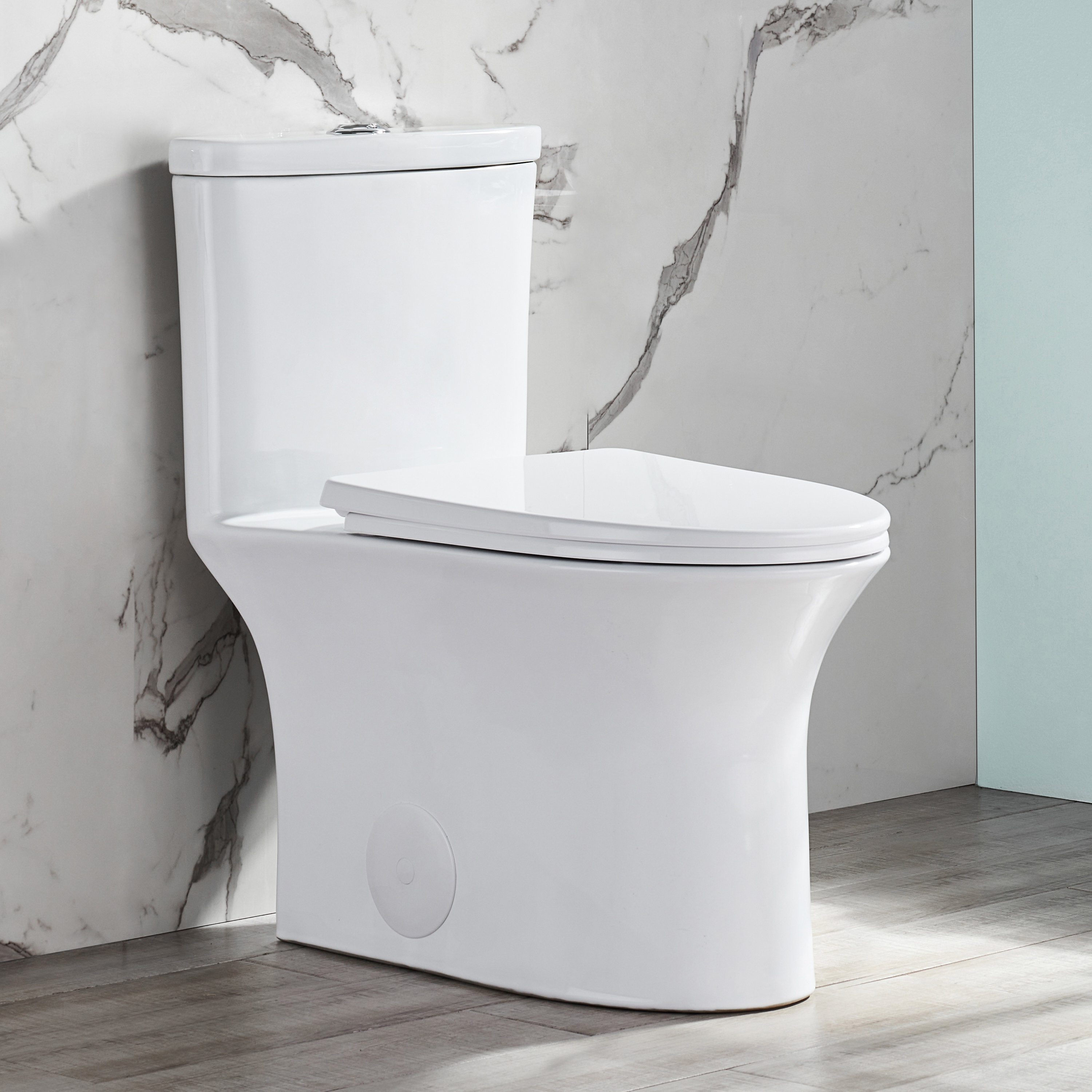 Deervalley Dual Flush Elongated One Piece Toilet Seat Included Reviews Wayfair