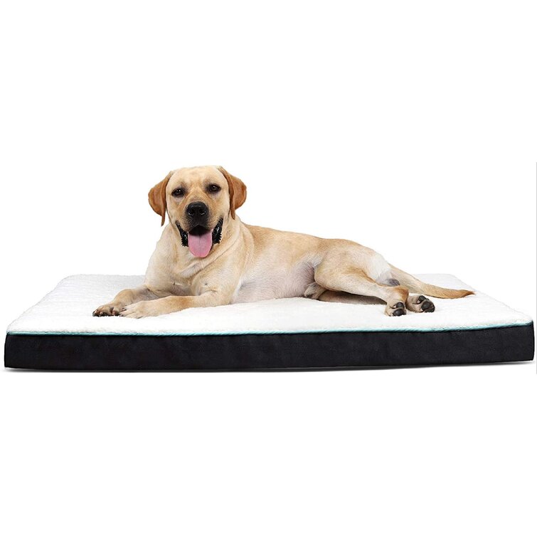 Tucker Murphy Pet™ Egg Crate Foam Black Dog Bed - Orthopedic Rectangle ...