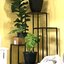 Steelside™ Bryn Square Multi-Tiered Plant Stand & Reviews | Wayfair