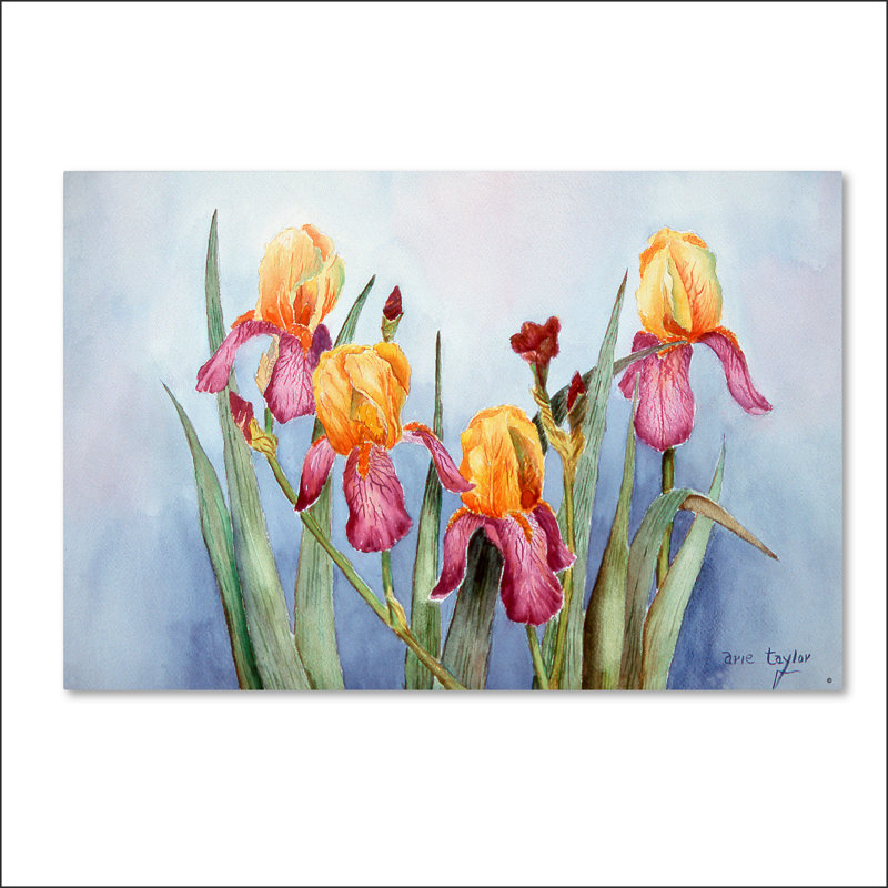 Trademark Art Irises Four Oil Painting Print On Wrapped Canvas