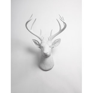 White Deer Head Wall Decor Wayfair Faux Deer Head Wall Décor