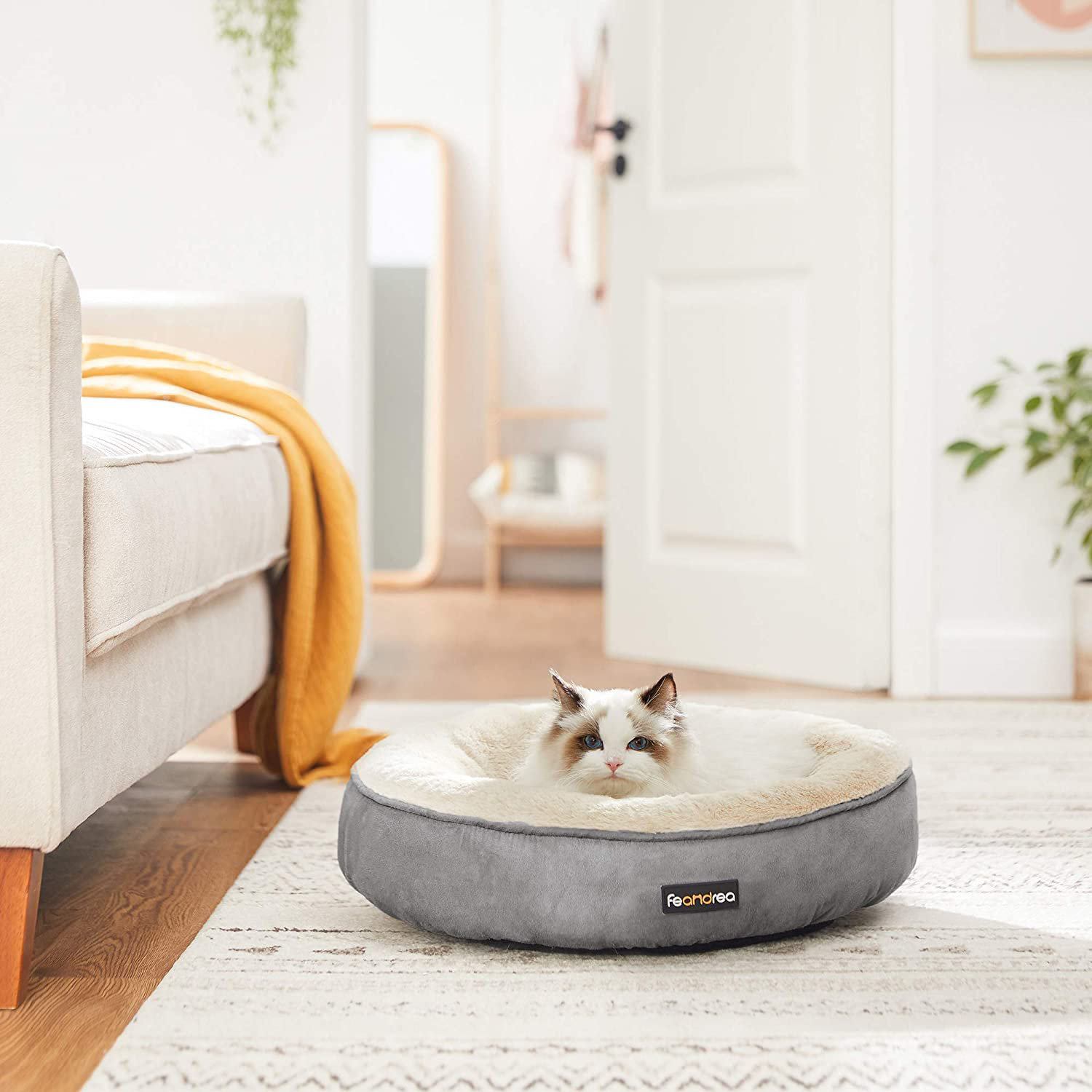 washable dog bed filling