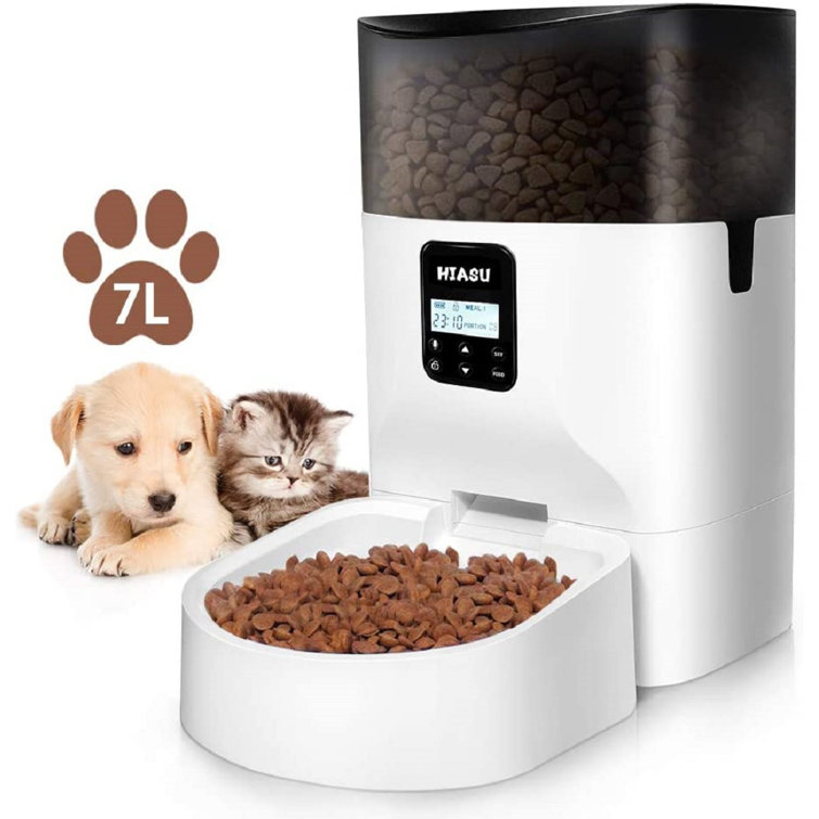 self dispensing cat feeder