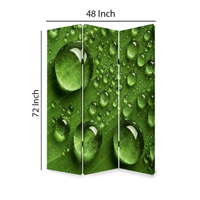 Sturdy Wooden Photo Frame Room Divider 3 Panels Holds 8/"X10/" Photos Double Sided