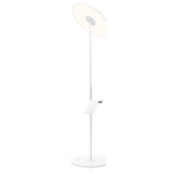 Moe S Home Collection 65 Ledcandelabra Floor Lamp Reviews Perigold