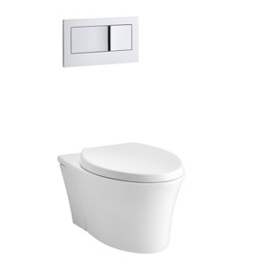 Veil One-Piece Elongated Dual-Flush Wall-Hung Toilet with Reveal Quiet-Close Seat