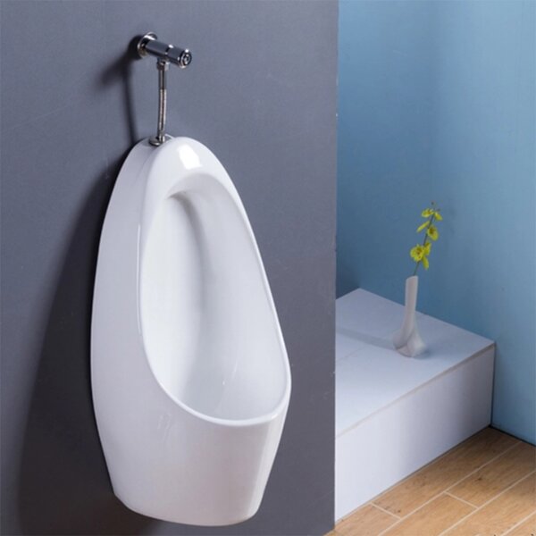 Sani Canada Wall Mounted Urinal | Wayfair