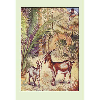 Buyenlarge Robinson Crusoe I Made Me A Table By Milo Winter Framed Painting Print